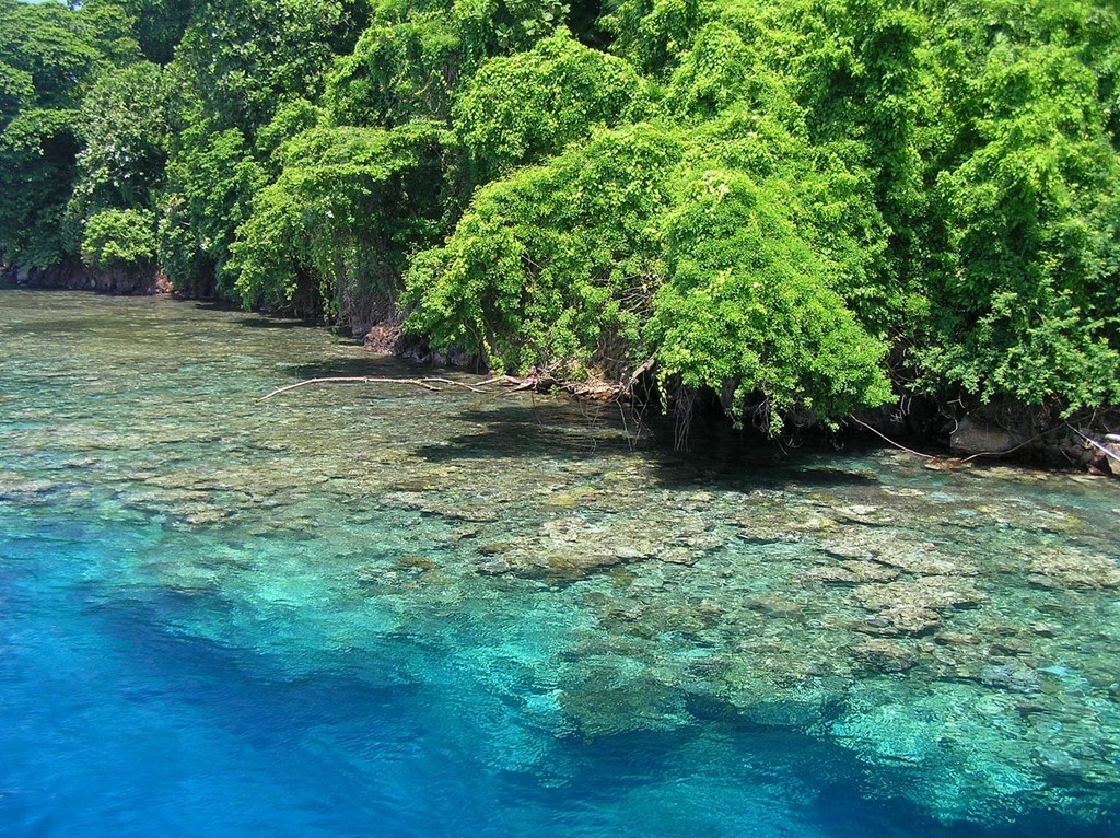 The research was conducted around Kimbe Bay in Papua New Guinea. Photo courtesy of Dr Glenn Almany, ARC Centre of Excellence for Coral Reef Studies     © ARC Centre of Excellence Coral Reef Studies http://www.coralcoe.org.au/